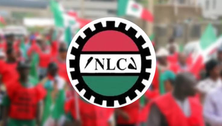 NLC-2024