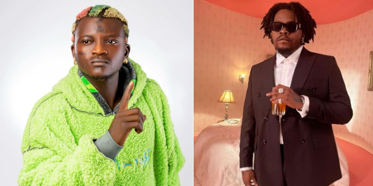 xr:d:DAF-zjLemQo:8,j:6619586558976725817,t:24030807