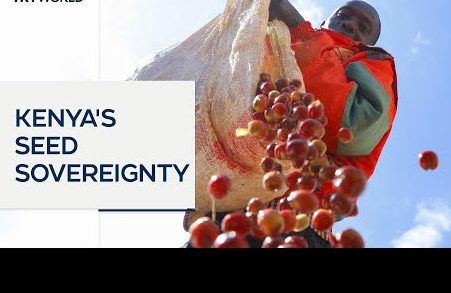 hqdefault-2-1-e1764262097847