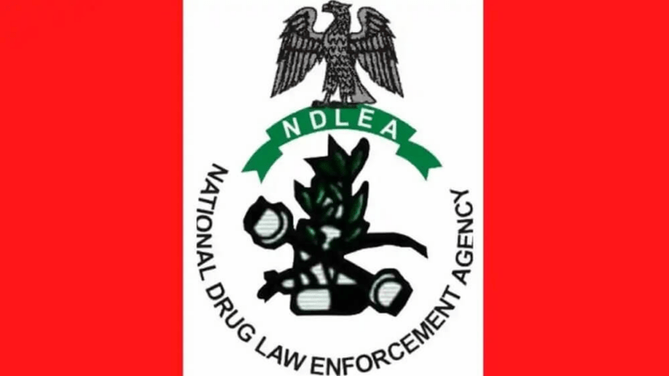 ndlea-logo