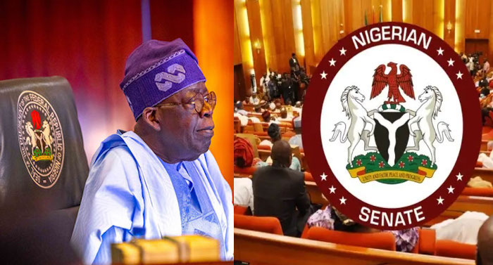 202307Senate-Tinubu
