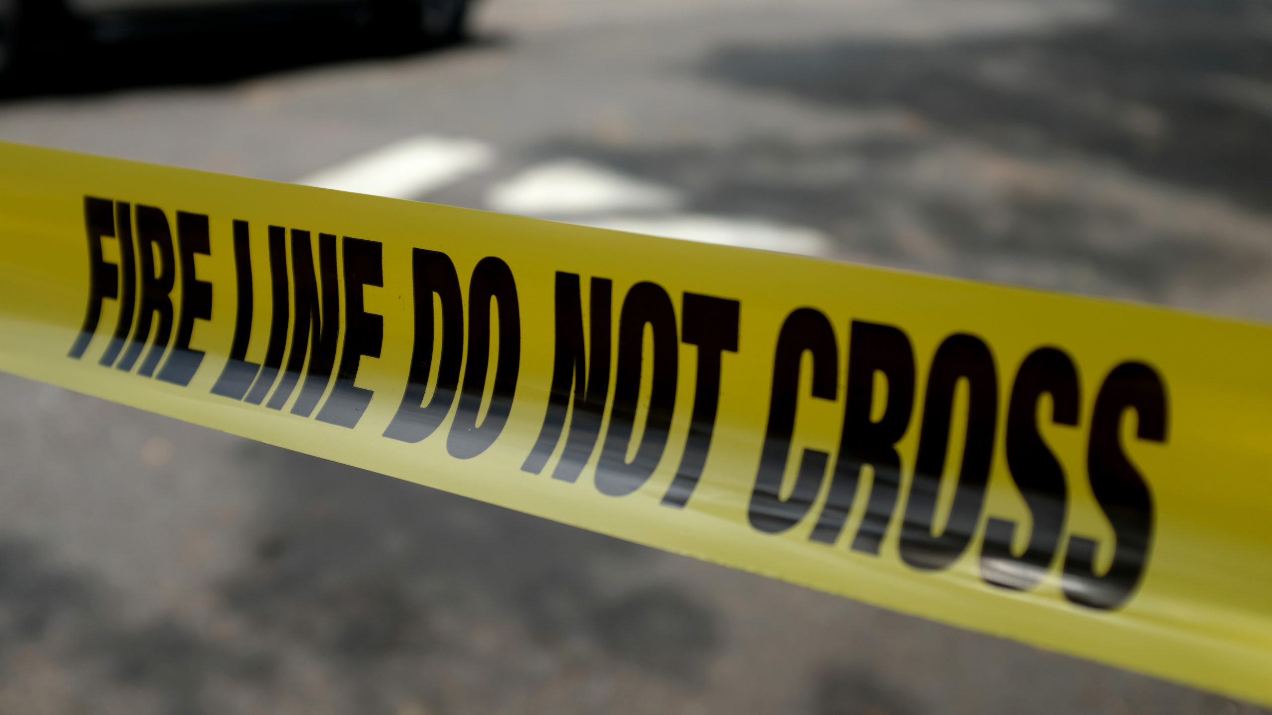 202409shutterstock_1791171926-scaled-1