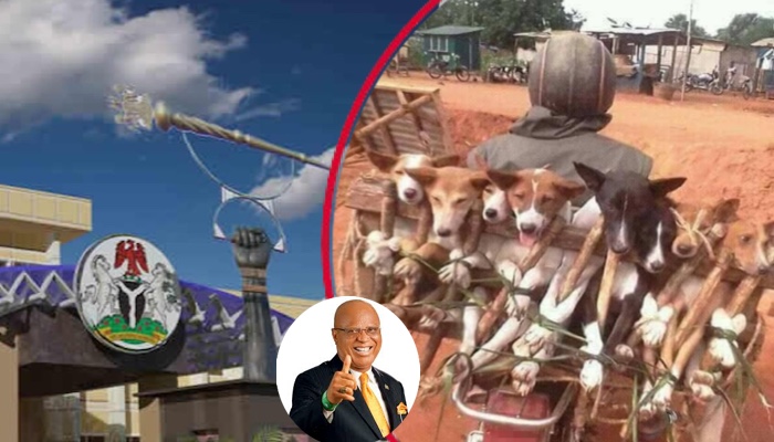 202512Akwa-Ibom-House-Of-Assembly-Rejects-Motion-To-Ban-Dog-Meat