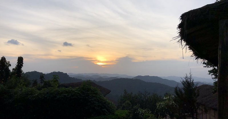 202512Bwindi-Impenetratable-Forest