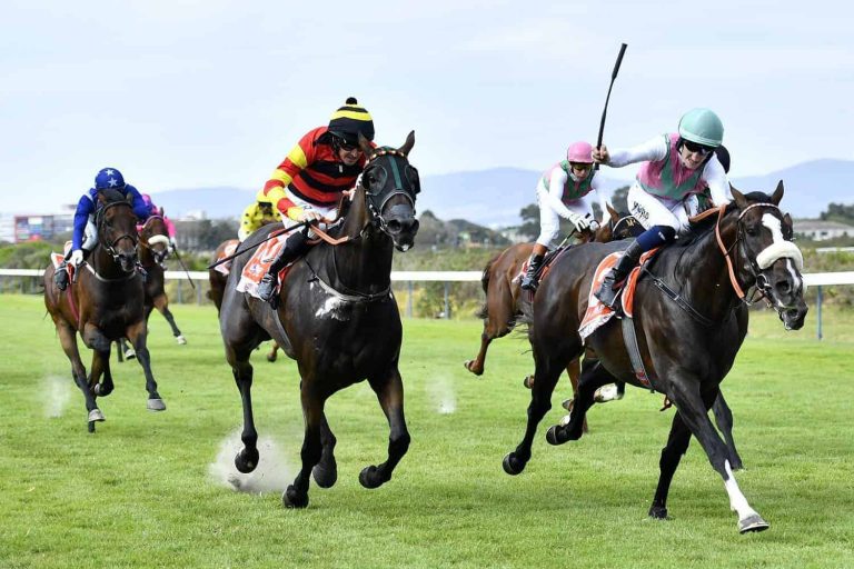 202512Cape-Town-Met-stock