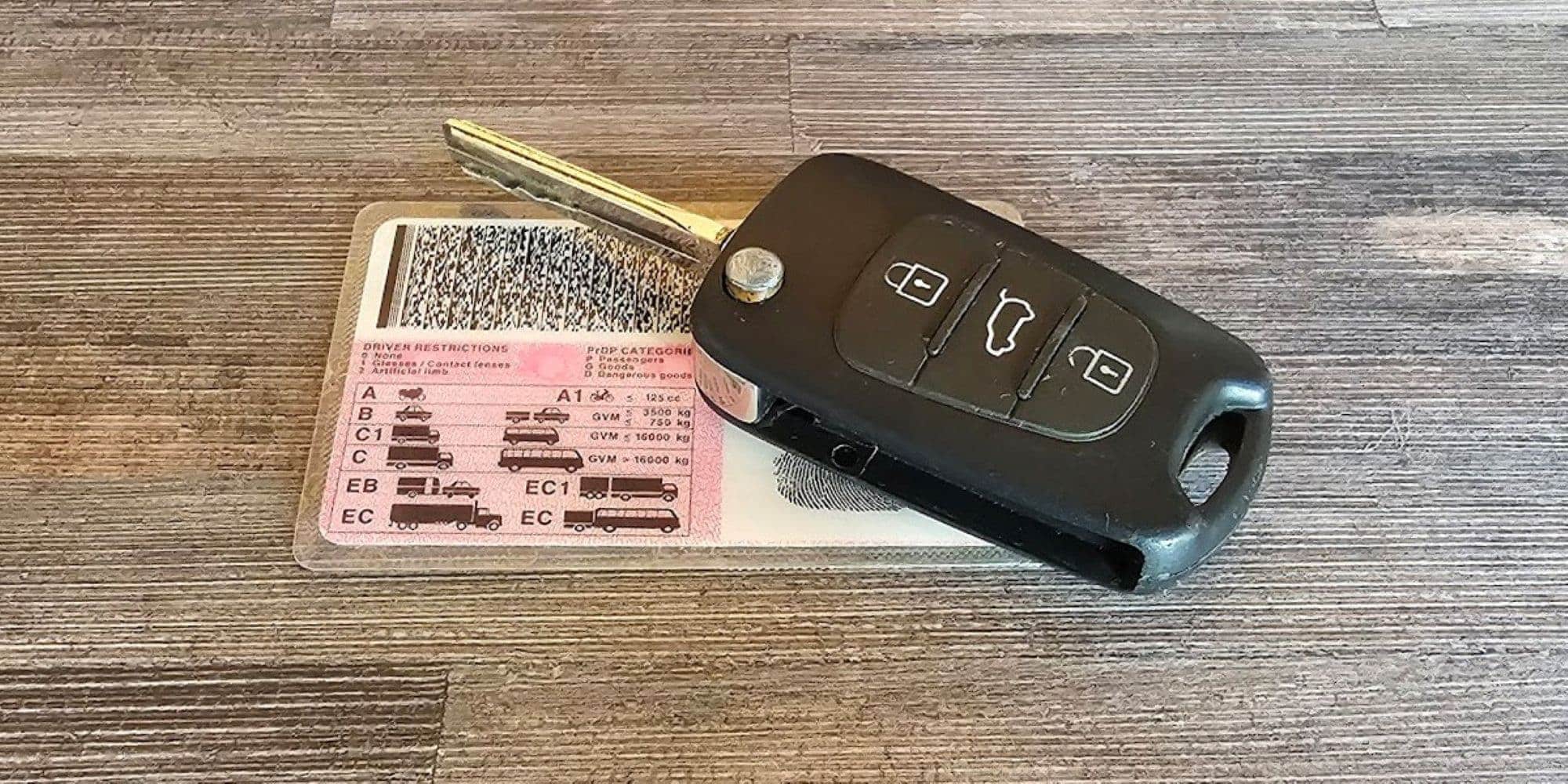 202512Drivers-licenses-department