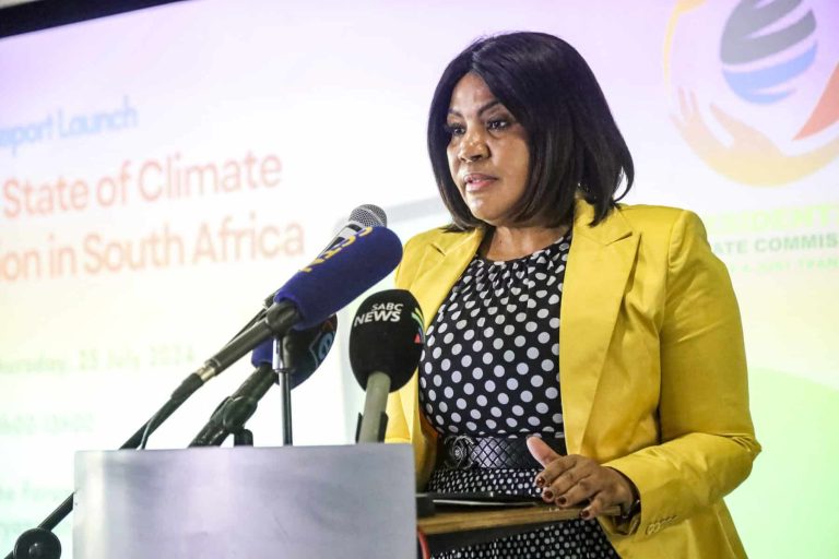 Inaugural South African State Of Climate Action Report Launch In Joburg