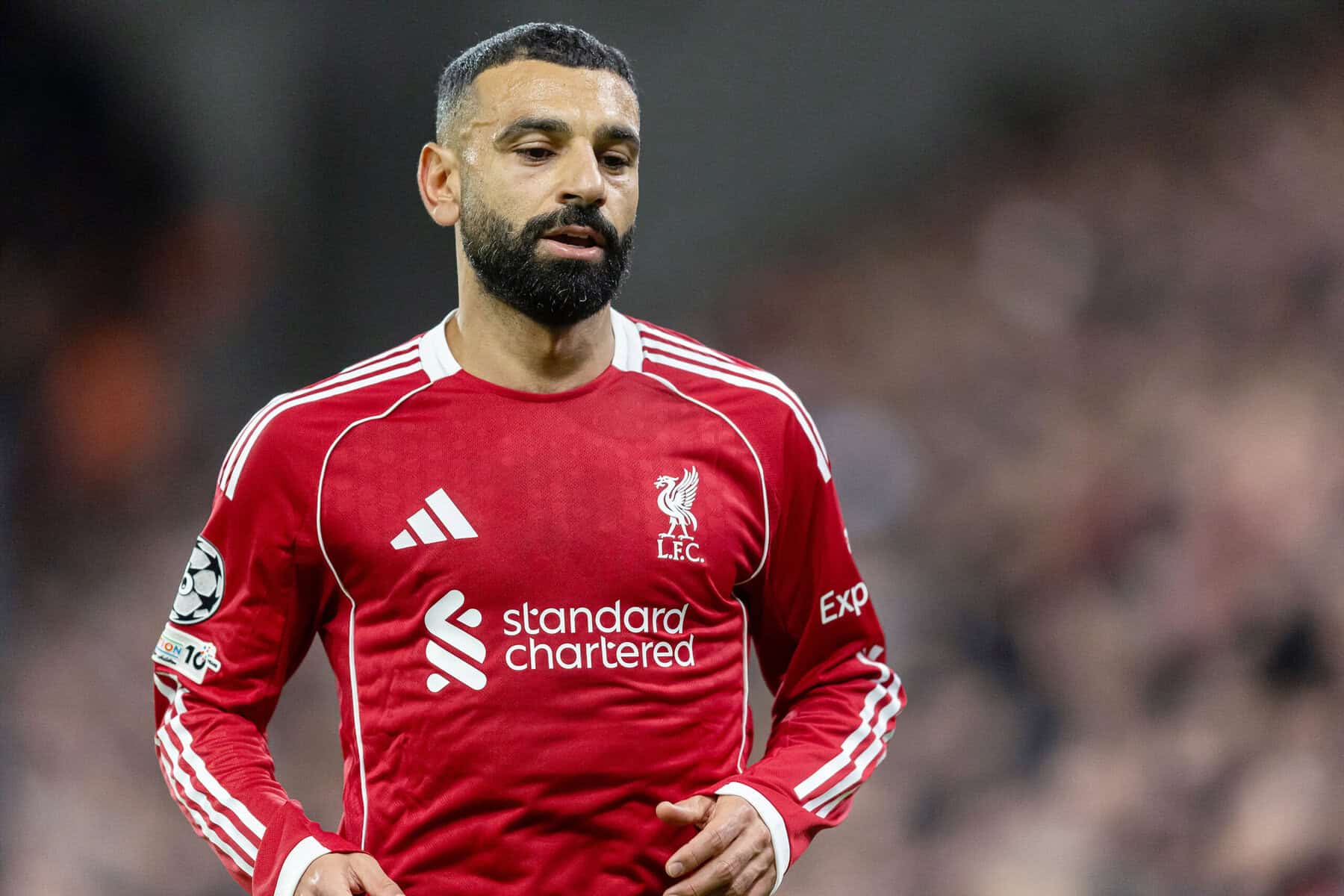 FOOTBALL - CHAMPIONS LEAGUE - LIVERPOOL v PSV