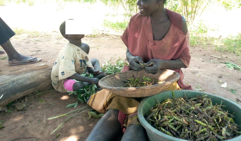 202512Nodding-disease-victims