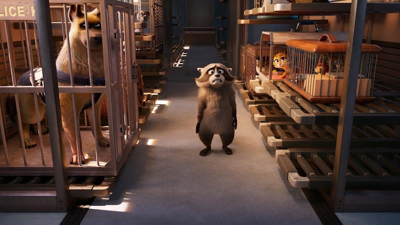 202512Pets-on-a-train