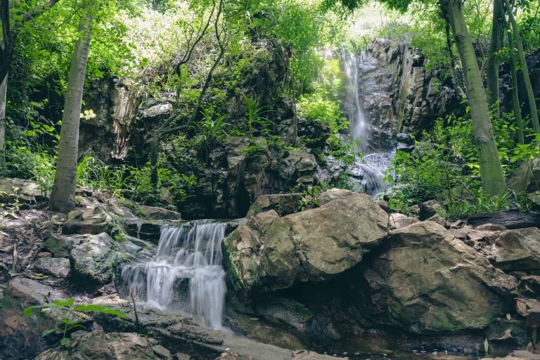 202512Reviving-Joburg-starts-with-The-Wilds-scaled-1