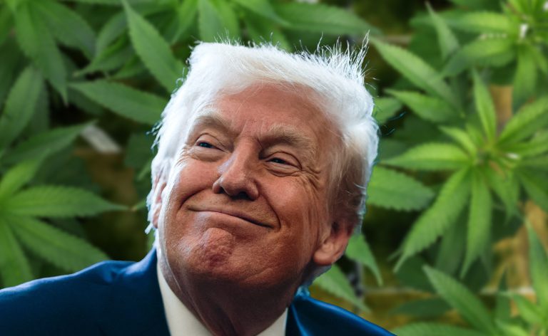 202512Trump-weed