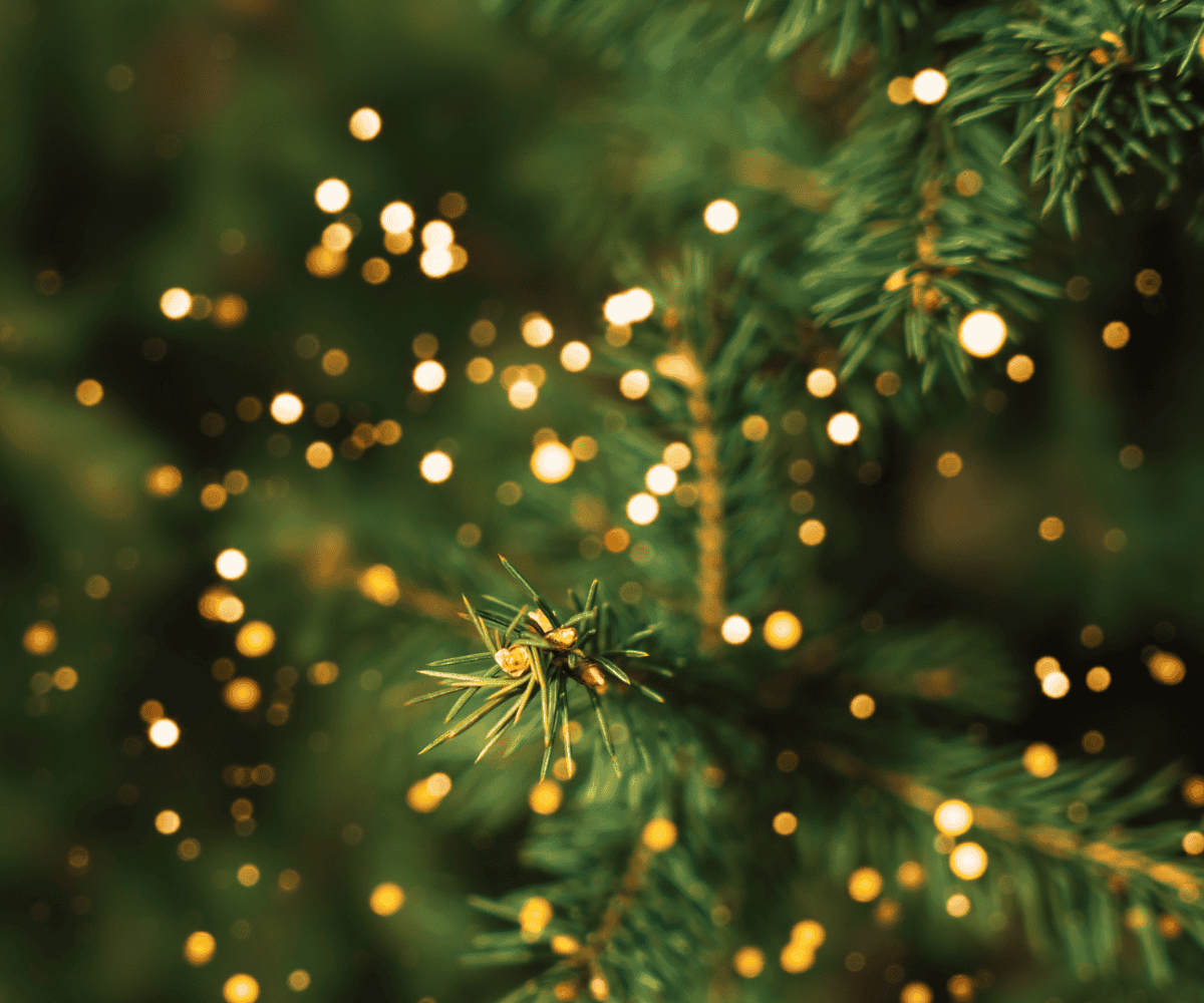 202512Untitled-design-19