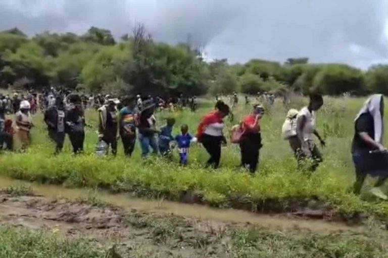 202512Zimbabwean-Nationals