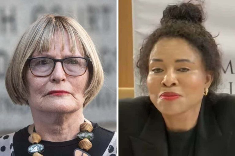 202512helen-zille-mashazi-hermes-bag