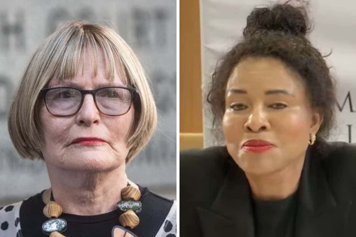 202512helen-zille-mashazi-hermes-bag