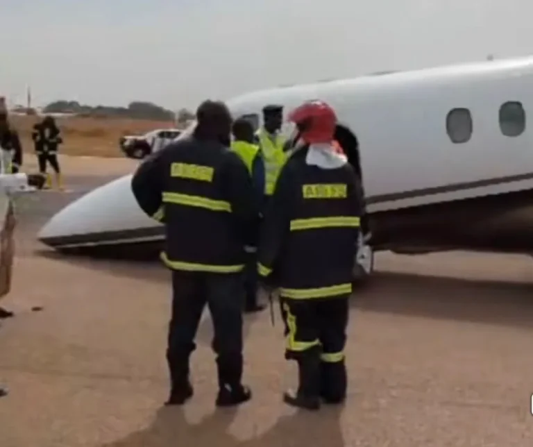 Flybird-aircraft-nosedive