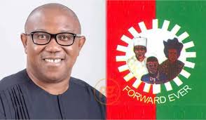 Labour-party-Peter-Obi