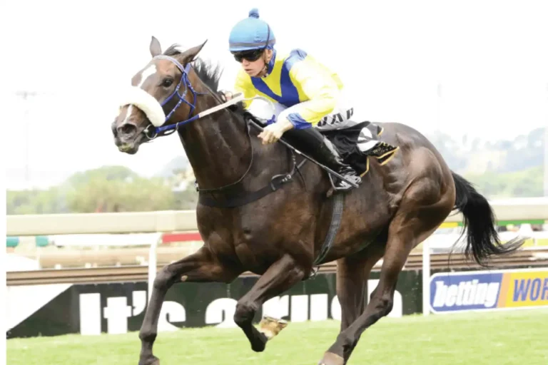 202601Andre-Fortune-Met