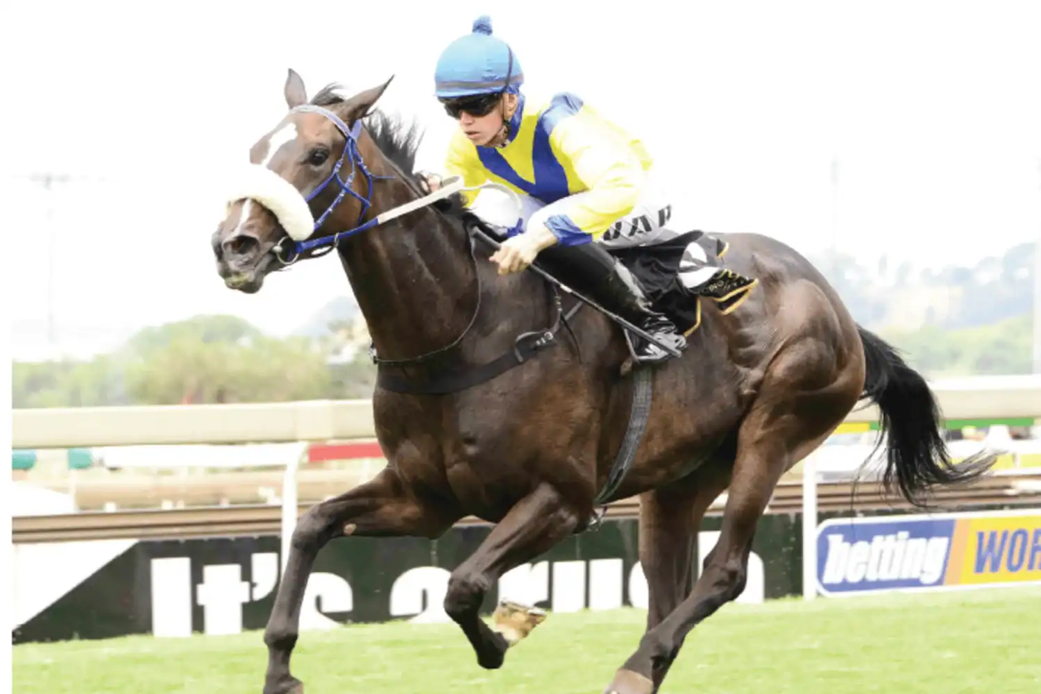 202601Andre-Fortune-Met