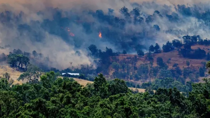 202601Australia-Bushfires-Kill-One-Destroy-300-Buildings-Emergency-Declared-In-Victoria