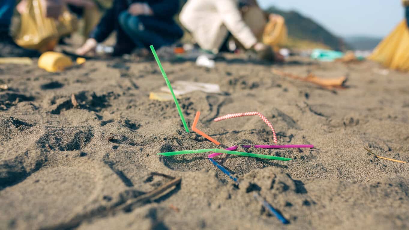 Straws on the beach