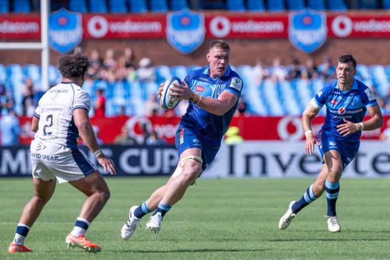 202601Cobus-Wiese-Bulls