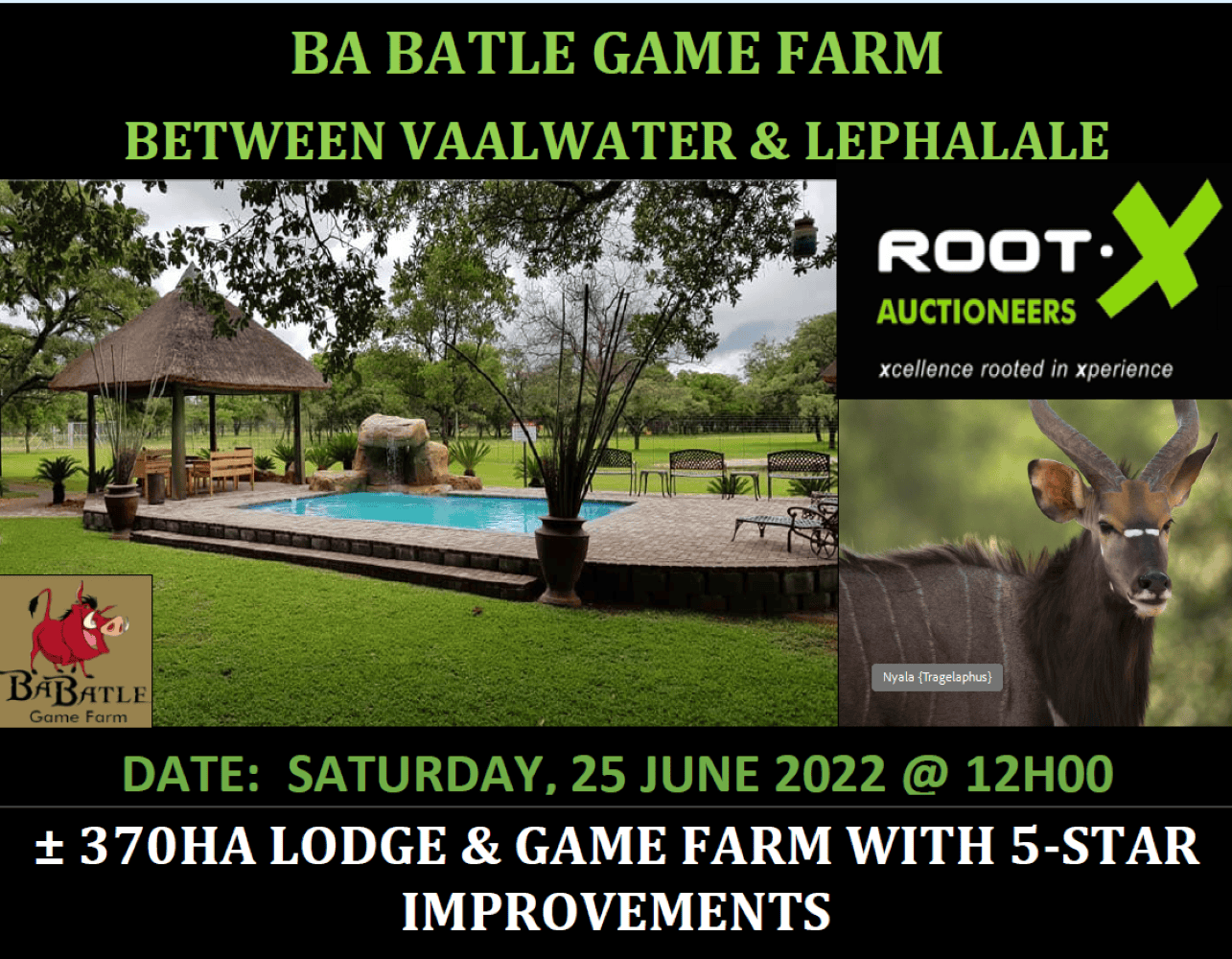 202601Consumer-Tribunal-auctioneer-judgment