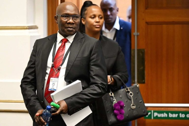 202601Crime-Intelligence-Dumisani-Khumalo-ad-hoc-committee