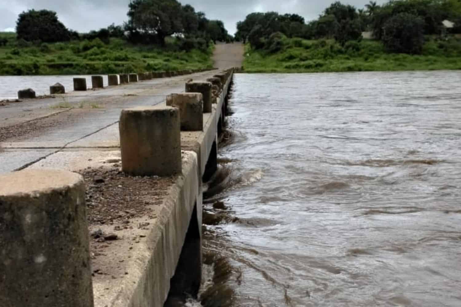 202601Crocodile-Bridge