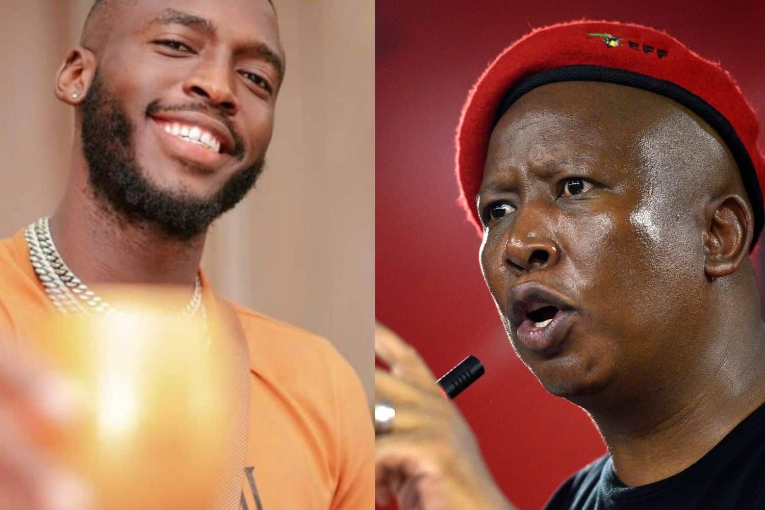 202601Daliwonga-Vs-Malema-