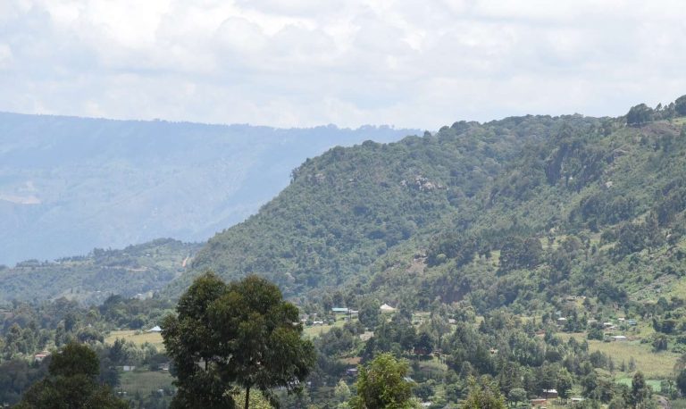 202601DnEldEscarpment1209m-e1769153479490