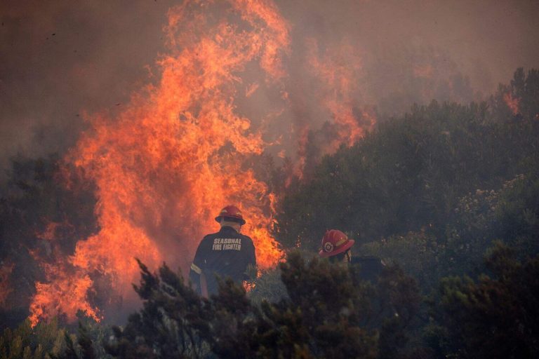 202601Eastern-Cape-Western-Cape-wildfires-arson-2