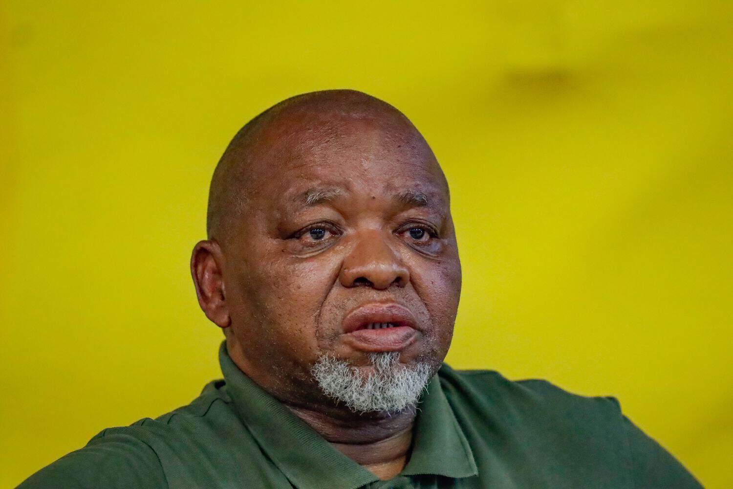 202601Gwede-Mantashe-ANC-South-Africa-employment-BEE