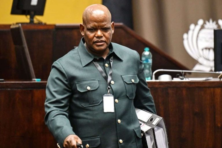 202601Khomotso-Phahlane-national-police-commissioner-ad-hoc-committee