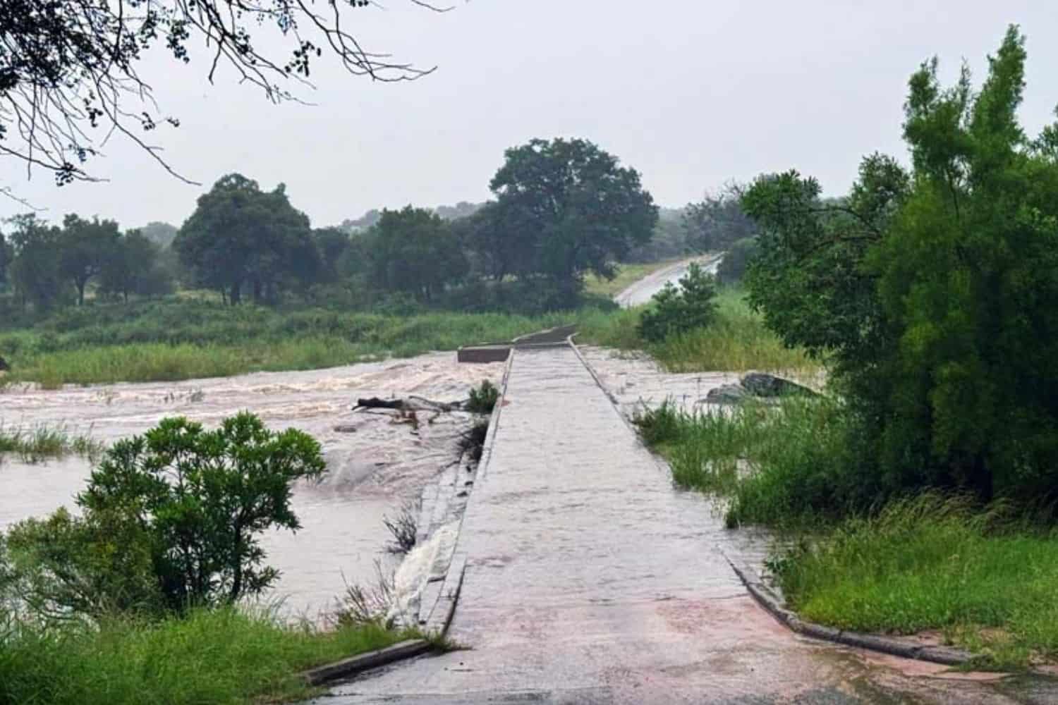 202601Kruger-National-Park-flooding
