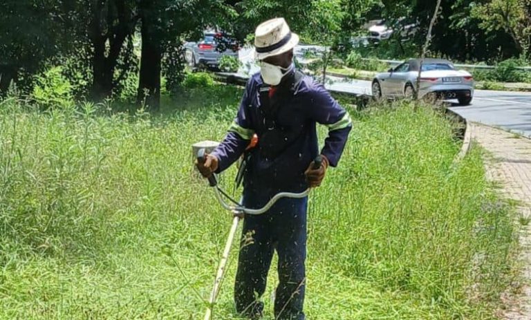 202601Leonardo-Lupini