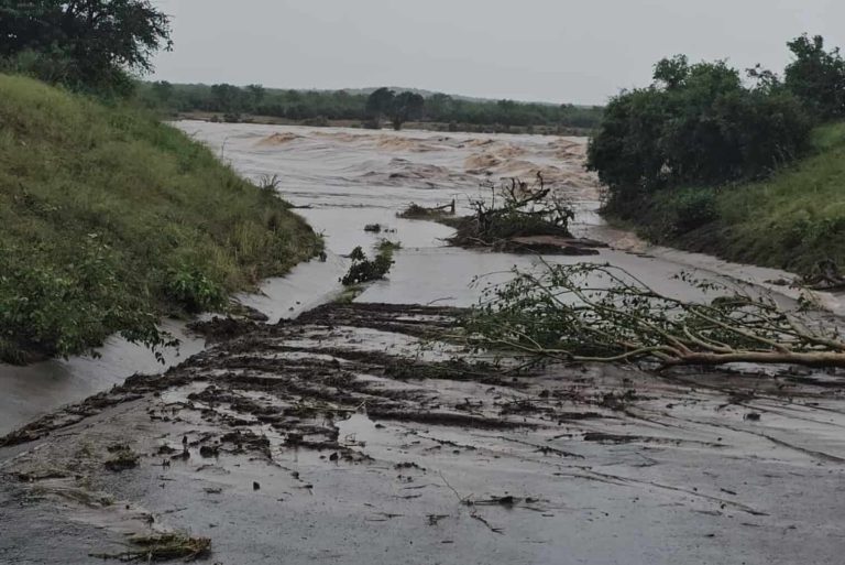202601Letaba-low-water-