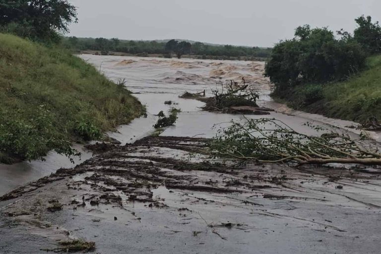 202601Letaba-low-water-ICYMI-16-January-2026