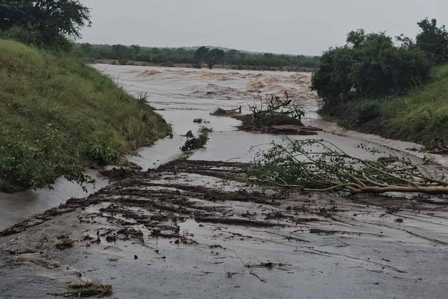 202601Letaba-low-water-ICYMI-16-January-2026