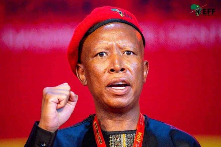 202601MALEMA-SENTENCE