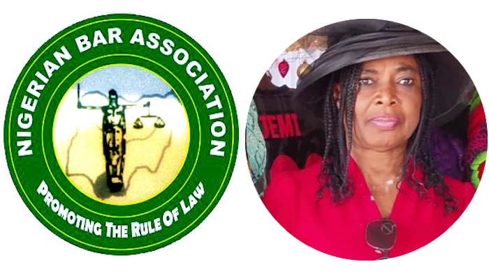 202601NBA-Demands-Swift-Arrest-Prosecution-Of-Killers-Of-Abuja-Lawyer-Princess-Chigbo