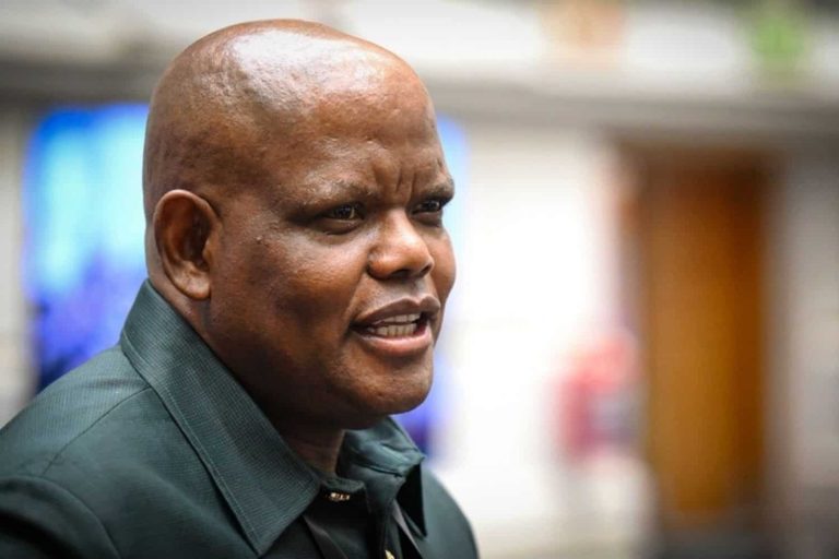 202601National-police-commissioner-Khomotso-Phahlane-ad-hoc-committee