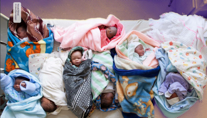 202601Over-800-Nigerian-Newborns-Die-Daily-As-Paediatricians-Declare-Child-Health-Emergency