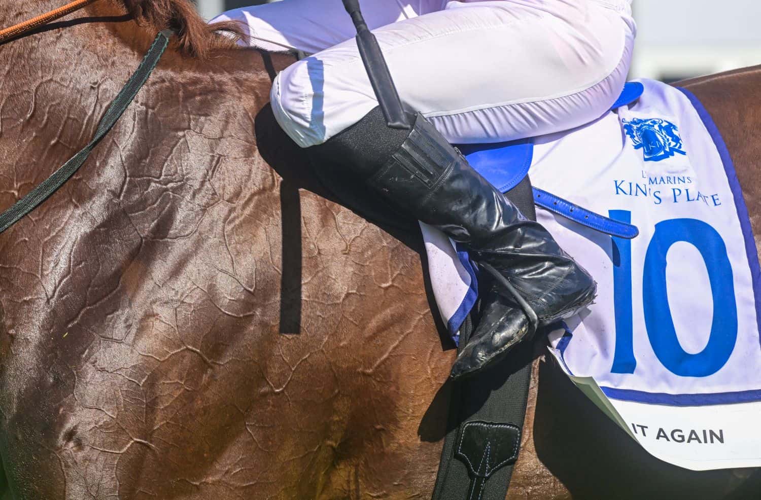 2026 L’Ormarins King’s Plate