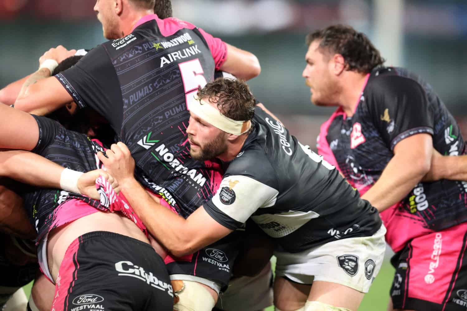 Carling Currie Cup: Hollywoodbets Sharks v Airlink Pumas