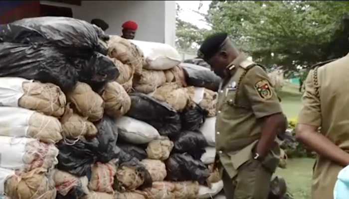 202601Troops-Intercept-30kg-Of-Cannabis-Disrupt-Terrorist-Drug-Supply-Network-In-North-East