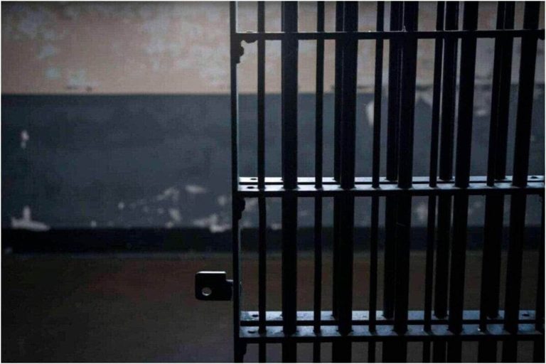 202601Zimbabwean-escapees