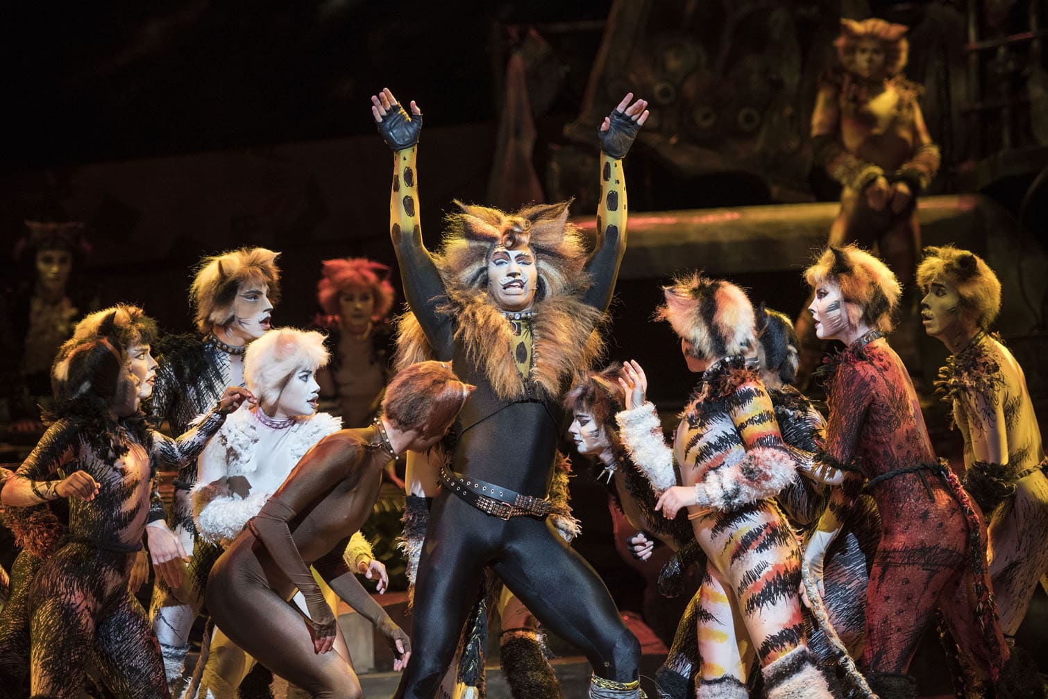 202601cats-musical-10