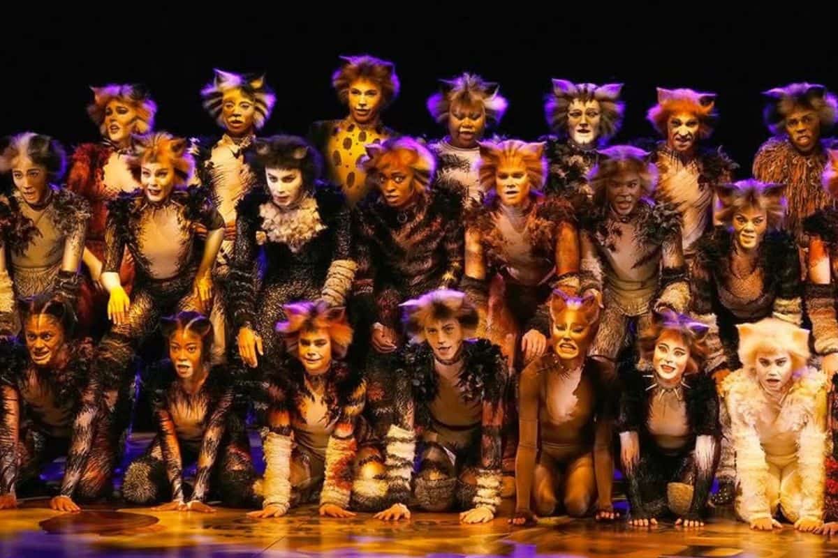 202601cats-musical-johannesburg